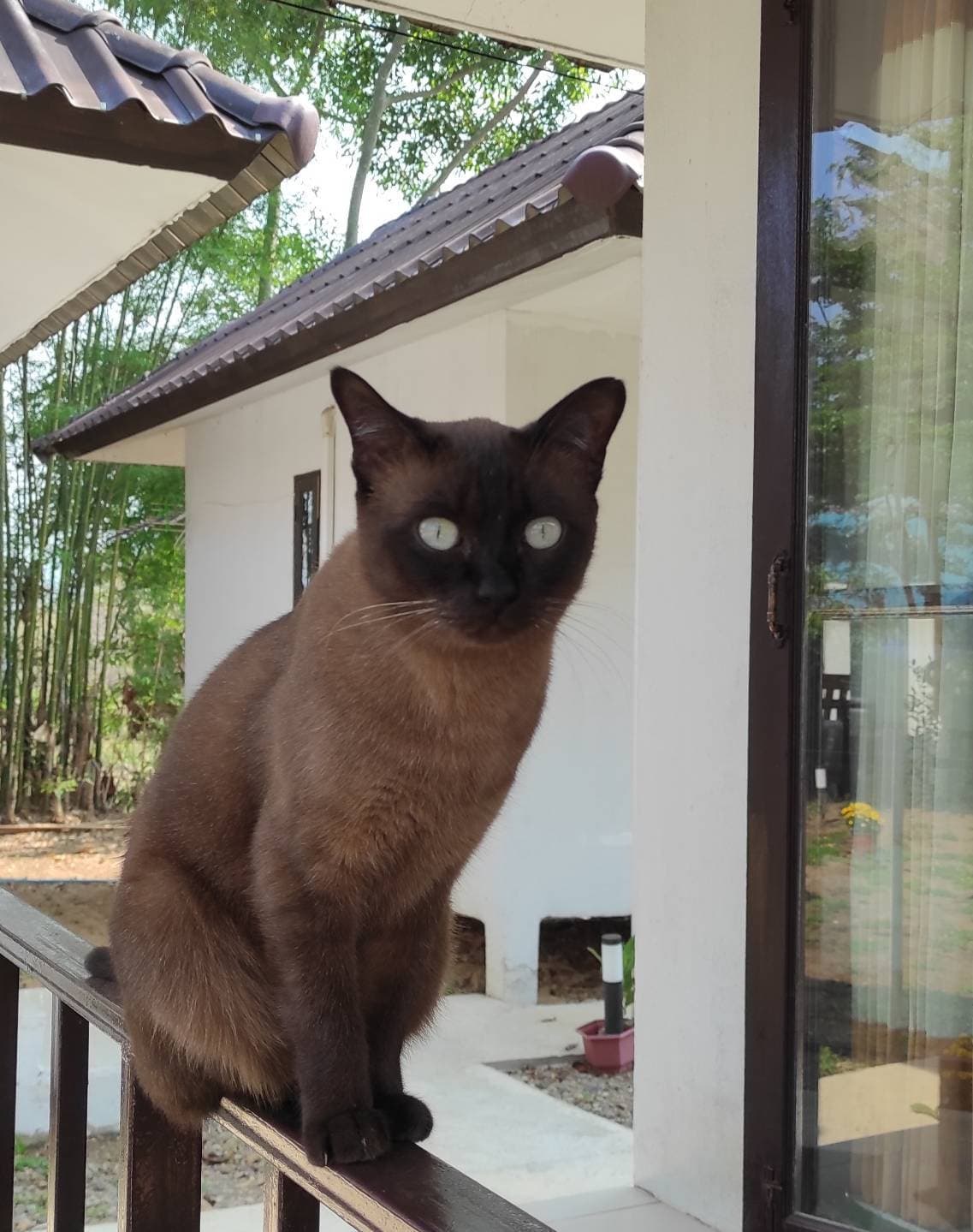 A-Thip House Pai guesthouse surrounded by nature