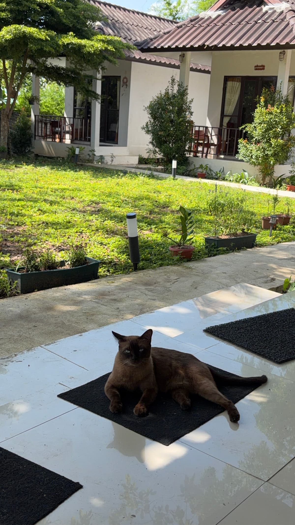 Guesthouse entrance and surroundings at A-Thip House